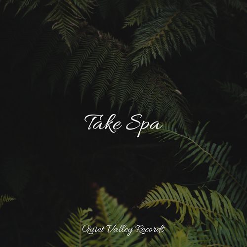 Take Spa