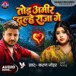 Tor Amir Dulhe Raja Ge