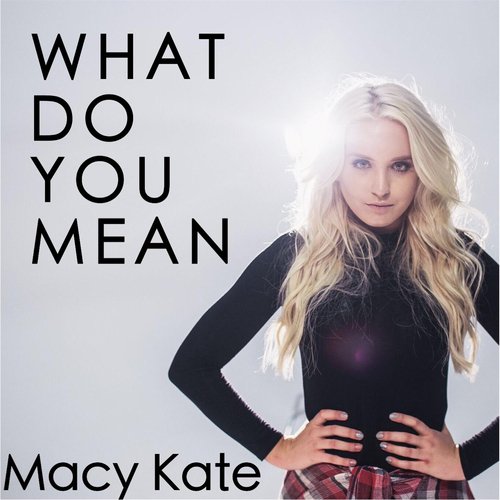 What Do You Mean cover art