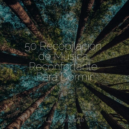 50 Recopilación de Música Reconfortante Para Dormir_poster_image