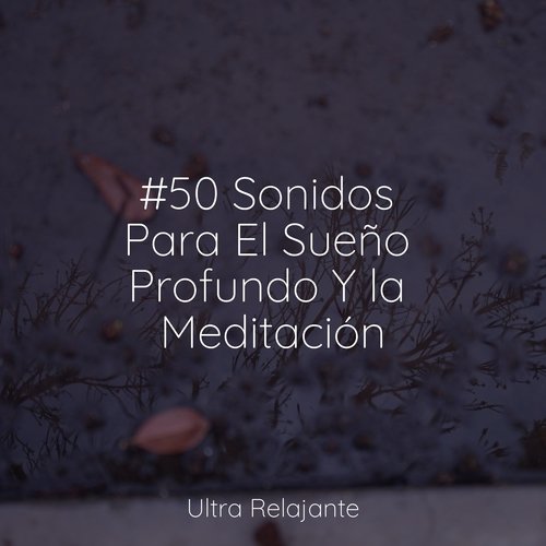 #50 Sonidos Para El Sueño Profundo Y la Meditación