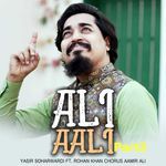Ali Aali Part 2