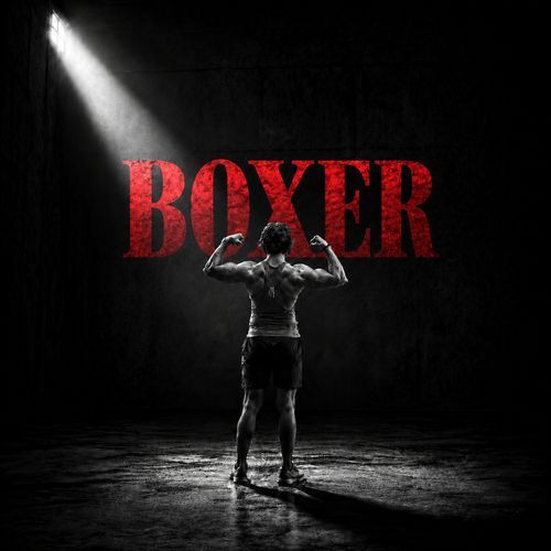 Boxer