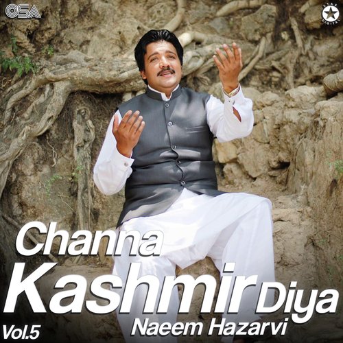 Channa Kashmir Diya, Vol. 5_poster_image