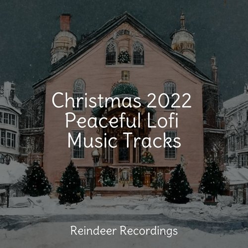 Christmas 2022 Peaceful Lofi Music Tracks_poster_image