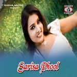 Darun Manaiche Holud Saree