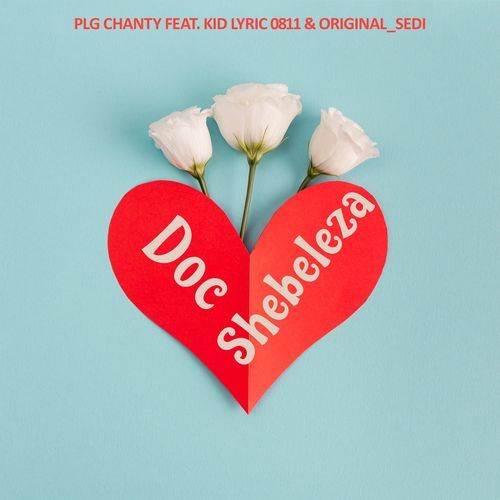 Doc Shebeleza cover art