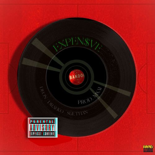 EXPEN$VE