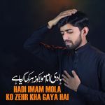 Hadi Imam Mola Ko Zehr Kha Gaya Hai