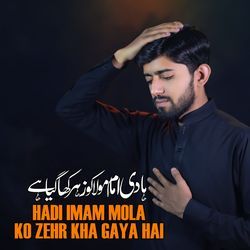 Hadi Imam Mola Ko Zehr Kha Gaya Hai