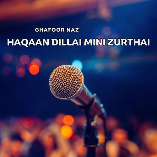 Haqaan Dillai Mini Zurthai