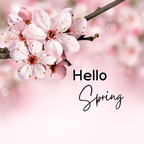 Hello Spring