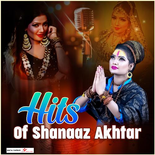 Hits Of Shanaaz Akhtar