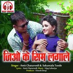 Jio Ke Sim Lagale (Chhattisgarhi Song)