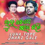 Luha Tope Jhari Gale