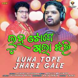 Luha Tope Jhari Gale