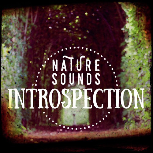 Nature Sounds: Introspection