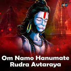 Om Namo Hanumate Rudra Avtaraya-Q1whUgB3UWU