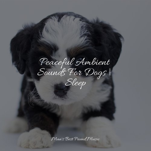 Peaceful Ambient Sounds For Dogs | Sleep