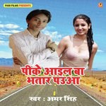 Pike Aail Ba Bhatar Paua