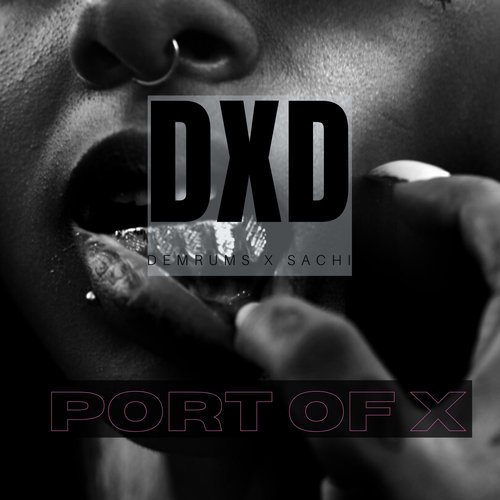 Port of X_poster_image