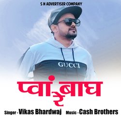 Pwan Baagh Re (Pahadi Dj)-FD5faxB0f1k