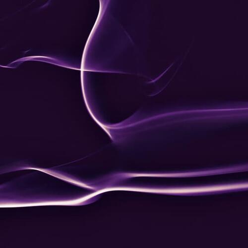 SHAKE YOUR BOOTIES cover art
