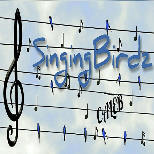 Singingbirdz