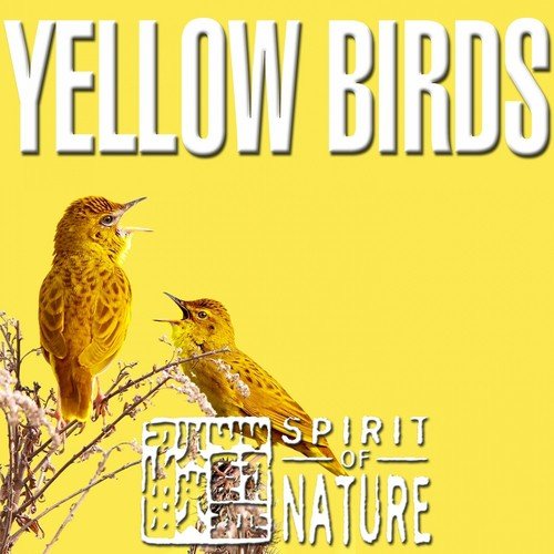 Spirit of Nature (Yellow Birds)
