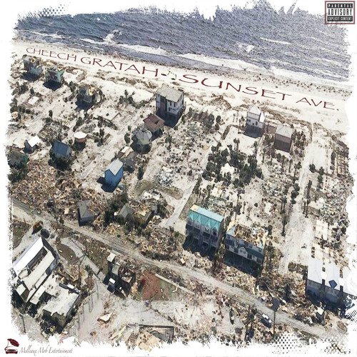 2weird2live cover art