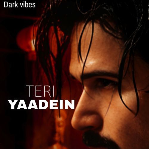 Teri Yaadein