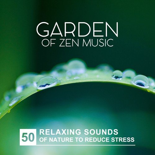 Zen Music Garden: 50 Relaxing Sounds of Nature to Reduce Stress (Meditation, Yoga, Spa, Reiki Healing Massage, Create Inner Peace, Sleep)
