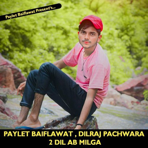 2 DIL AB MILGA