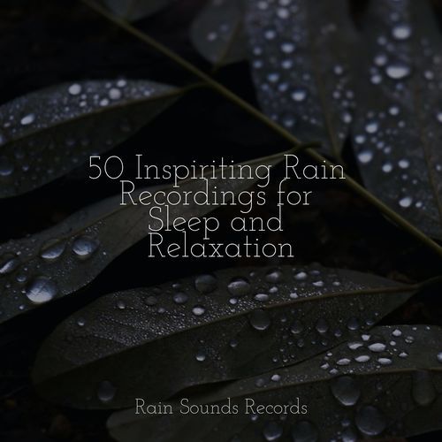 50 Inspiriting Rain Recordings for Sleep and Relaxation