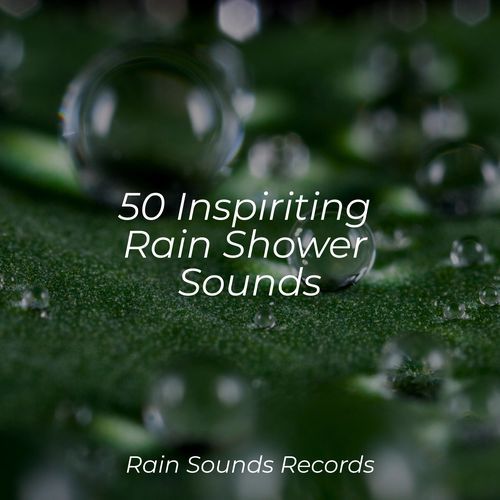 50 Inspiriting Rain Shower Sounds_poster_image