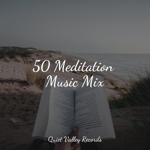 50 Meditation Music Mix_poster_image