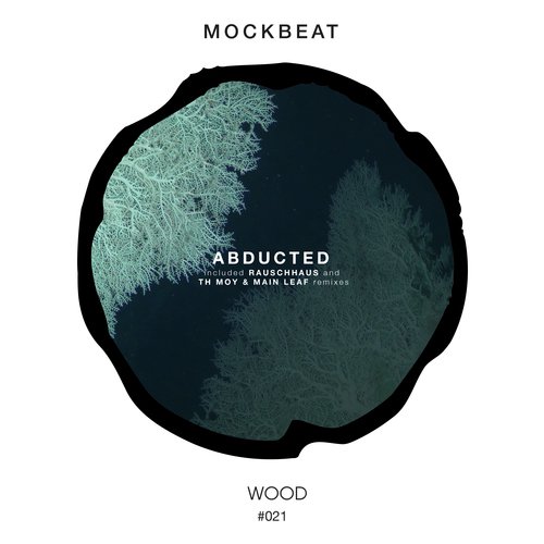 Abducted (Rauschhaus Remix) cover art