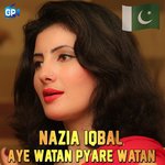 Aye Watan Pyare Watan