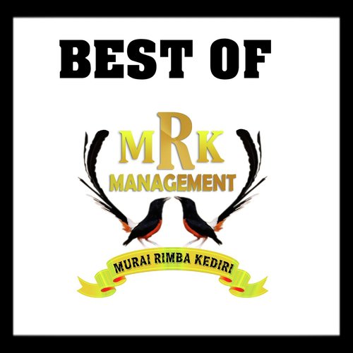 Best Of Mrk Management