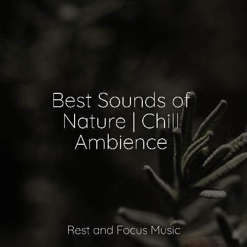 Best Sounds of Nature | Chill Ambience