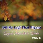 Dil Na Lagi Thai Piyara, Vol. 5