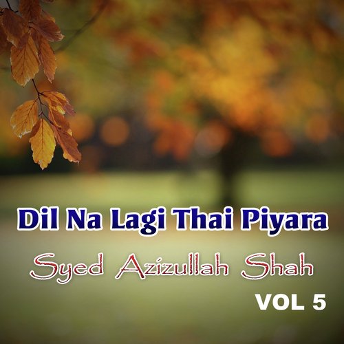 Dil Na Lagi Thai Piyara, Vol. 5