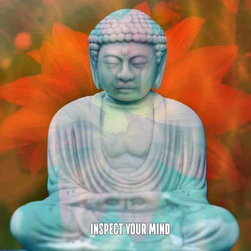 Inspect Your Mind