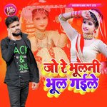 Jo Re Bhulni Bhul Gaile