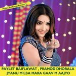 Jyanu Milba Mara Gaav M Aajyo