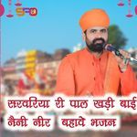 सरवरिया री पाल खड़ी बाई नैनी नीर बहावे भजन