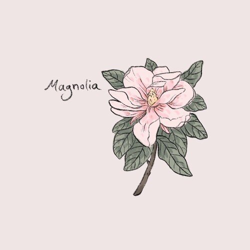 Magnolia_poster_image