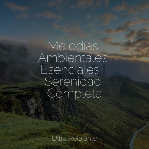 Melodías Ambientales Esenciales | Serenidad Completa