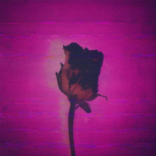 Middle East Nights (Bruit Remix)