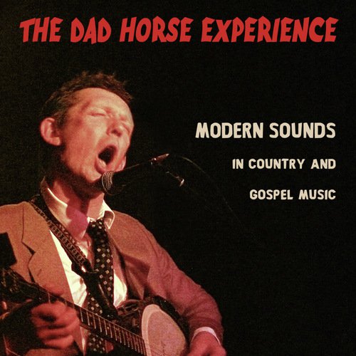 The Dad Horse Experience